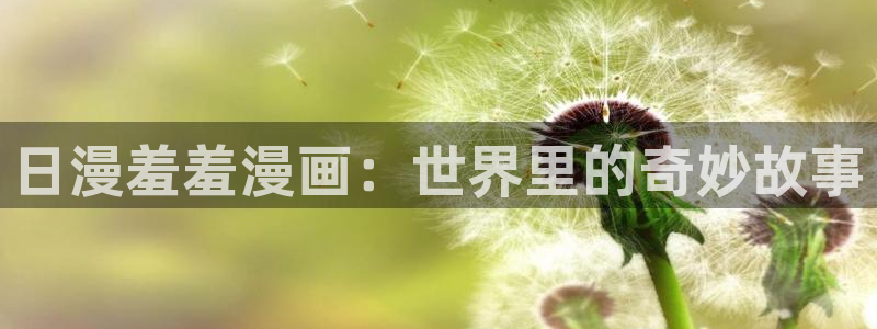 managereader漫画官网入口