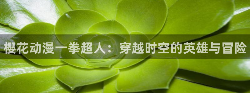 kakaopage韩漫官网