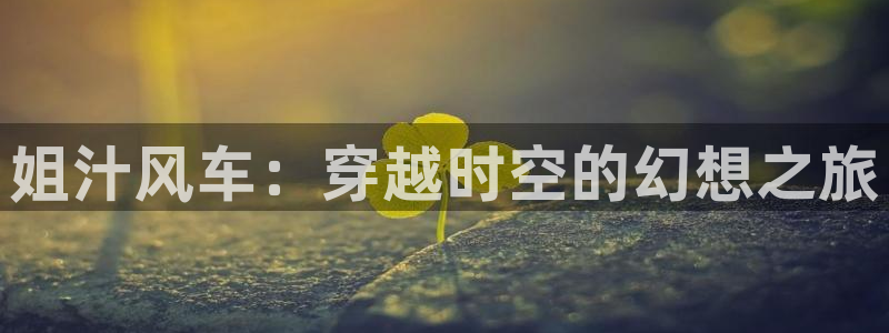 拷贝漫画 copymanager.ory网站