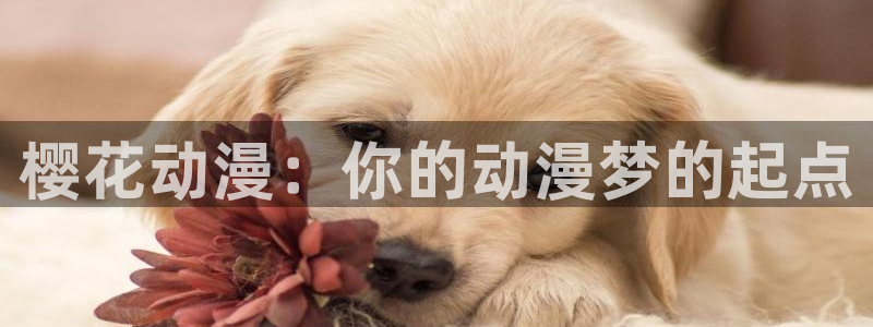 漫画之家下载动漫全免费