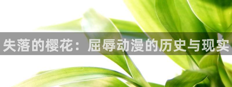 在线动画动漫下载漫画之家