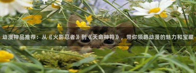 漫画之家官网入口老版本