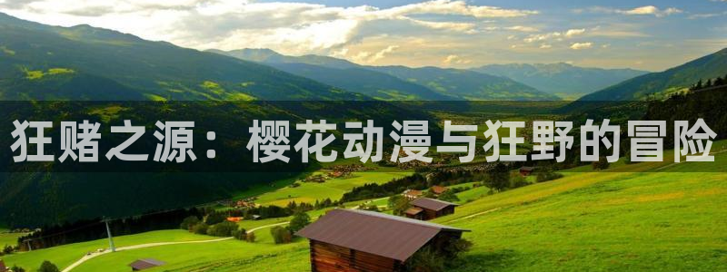 age专注动漫的门户网站