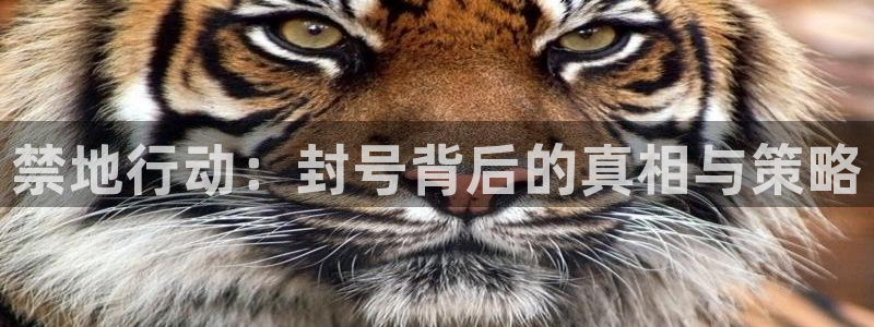 colamanage漫画下载
