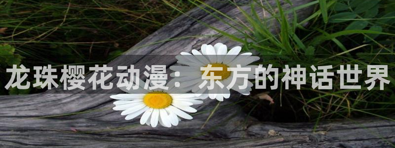 漫画之家专注动漫的门户网站