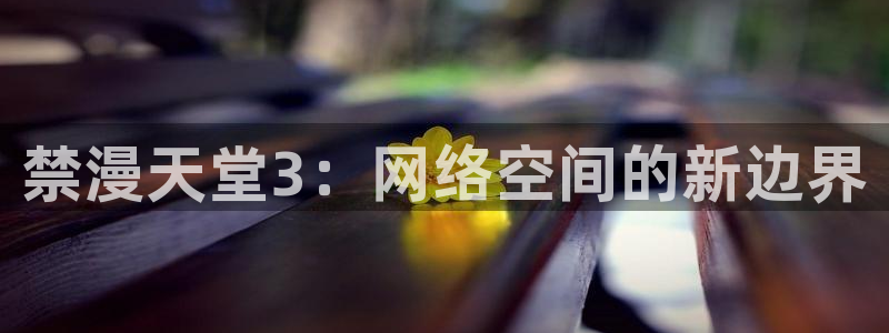 colamanage漫画：禁漫天堂3：网络空间的新边界