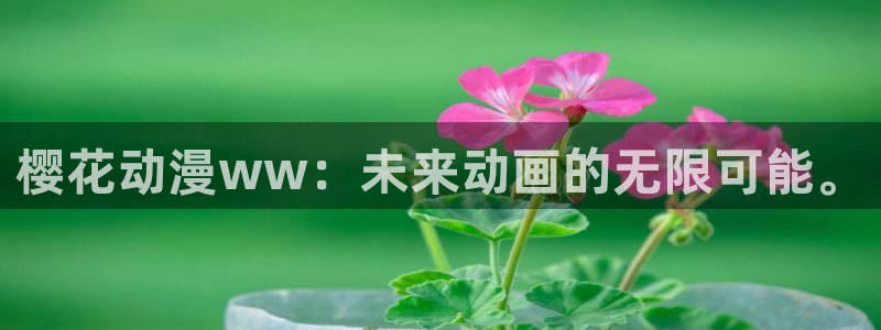 age漫画网：樱花动漫ww：未来动画的无限可能。