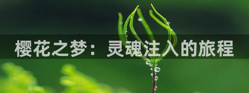colamanage漫画官网：樱花之梦：灵魂注入的旅程