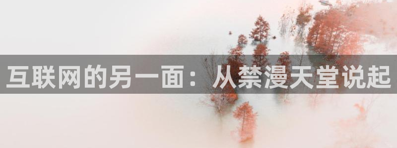 colamanage漫画下载：互联网的另一面：从禁漫天堂说起