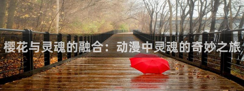 kakaopage韩漫官网：樱花与灵魂的融合：动漫中灵魂的奇妙之旅