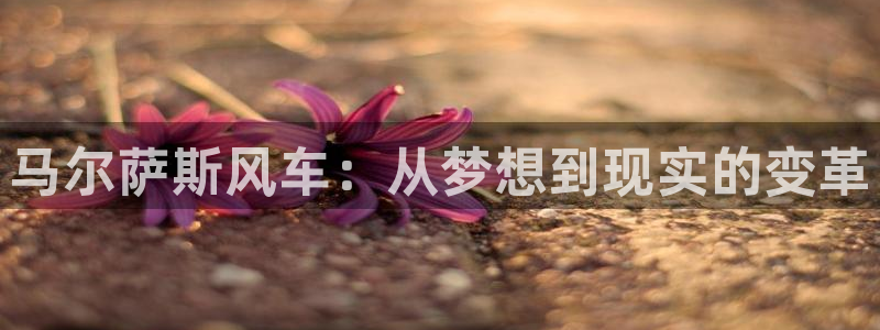 漫画之家官网版入口：马尔萨斯风车：从梦想到现实的变革