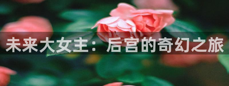 漫画之家官网在线入口：未来大女主：后宫的奇幻之旅