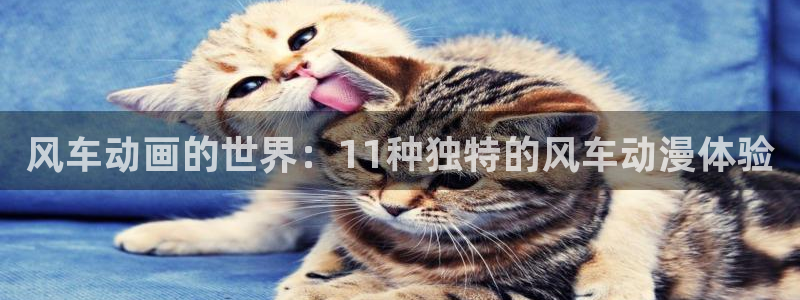 漫画之家omofun：风车动画的世界：11种独特的风车动漫体验